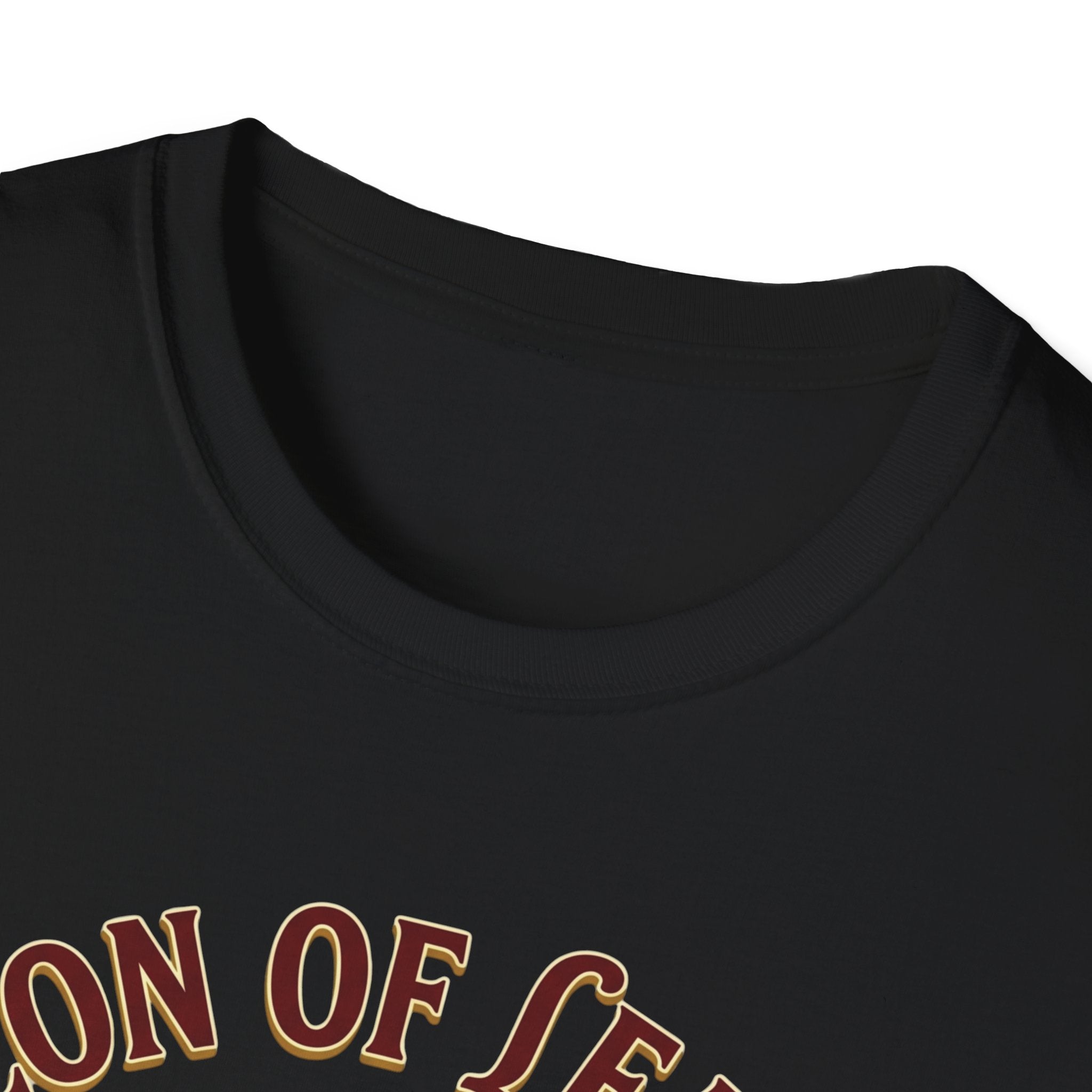 "Beacon of Learning" Certified Teacher Owl T-Shirt