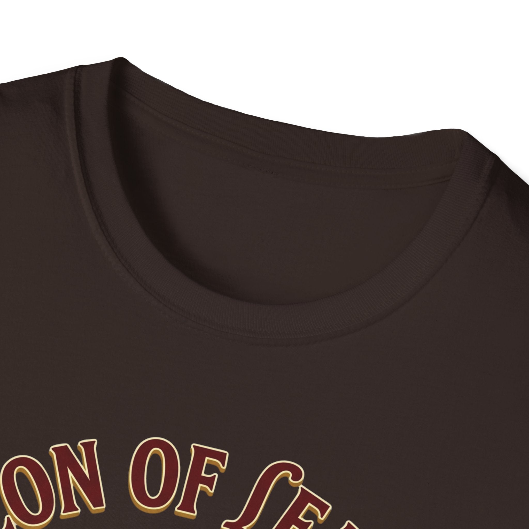 "Beacon of Learning" Certified Teacher Owl T-Shirt